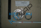 ��������� ����������,���������� ����